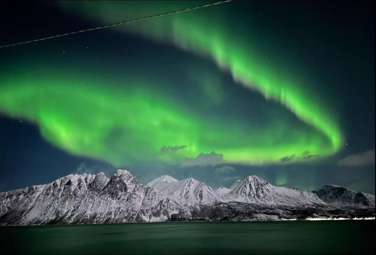 Innsletta Holiday Home Harstad Bagian luar foto